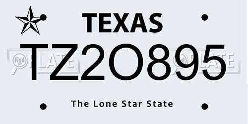 TZ2O895 Texas License Plate