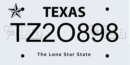 TZ2O898 Texas License Plate