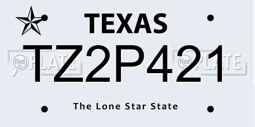 TZ2P421 Texas License Plate