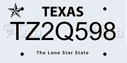 TZ2Q598 Texas License Plate
