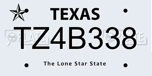 TZ4B338 Texas License Plate