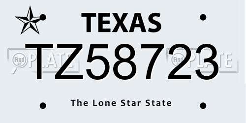 TZ58723 Texas License Plate