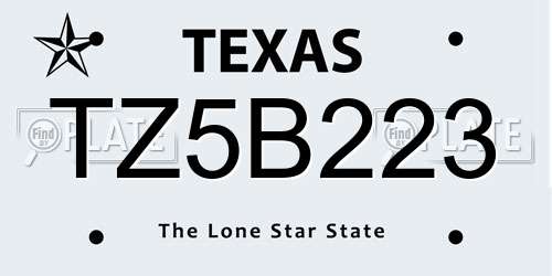 TZ5B223 Texas License Plate