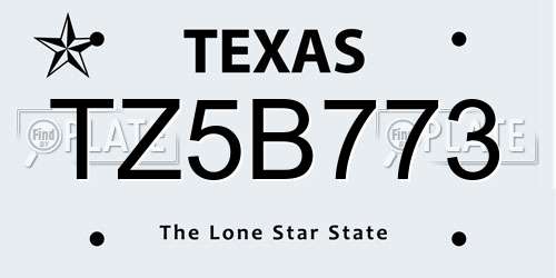 TZ5B773 Texas License Plate