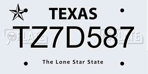TZ7D587 Texas License Plate