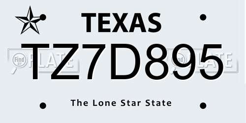 TZ7D895 Texas License Plate