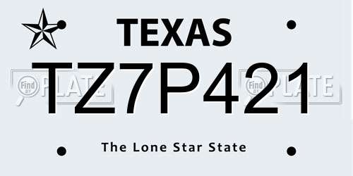 TZ7P421 Texas License Plate
