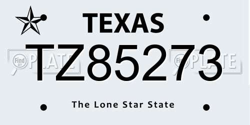 TZ85273 Texas License Plate