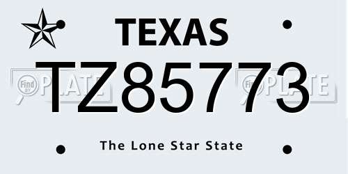 TZ85773 Texas License Plate