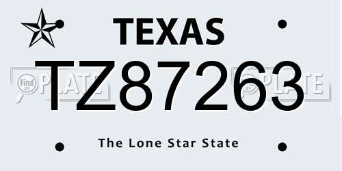TZ87263 Texas License Plate
