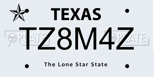 TZ8M4Z Texas License Plate