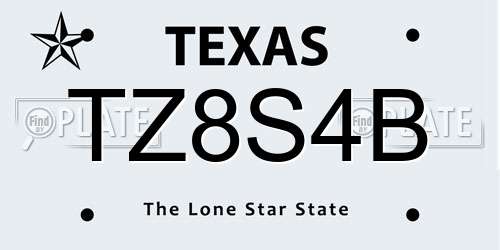 TZ8S4B Texas License Plate