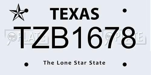 TZB1678 Texas License Plate