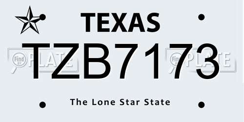 TZB7173 Texas License Plate