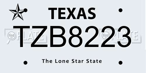 TZB8223 Texas License Plate