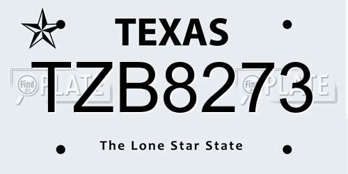 TZB8273 Texas License Plate