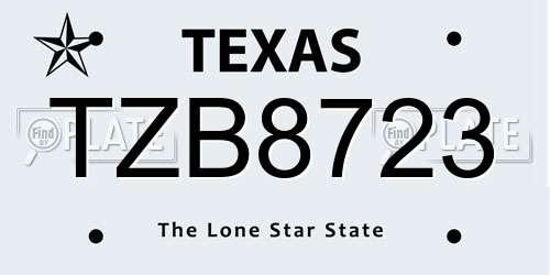 TZB8723 Texas License Plate