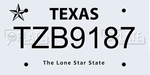 TZB9187 Texas License Plate