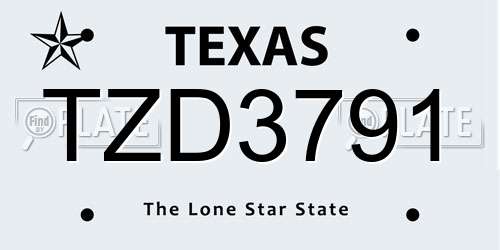 TZD3791 Texas License Plate