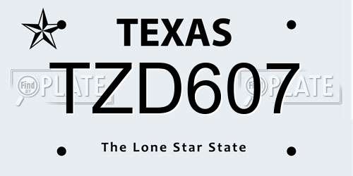 TZD607 Texas License Plate