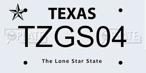TZGS04 Texas License Plate