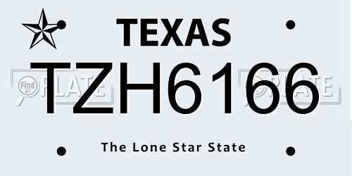 TZH6166 Texas License Plate