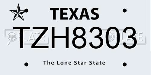 TZH8303 Texas License Plate