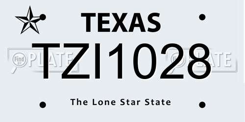 TZI1028 Texas License Plate