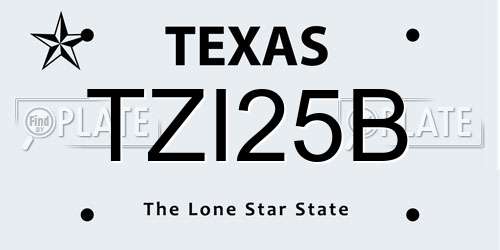 TZI25B Texas License Plate