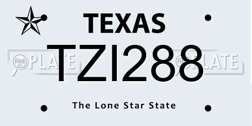 TZI288 Texas License Plate