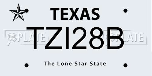 TZI28B Texas License Plate