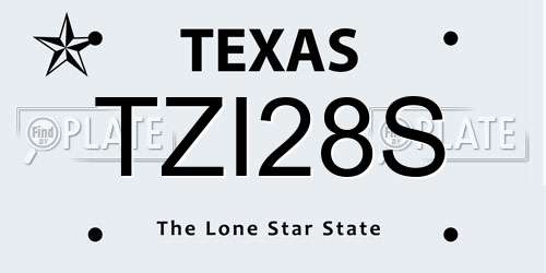 TZI28S Texas License Plate