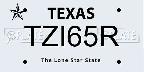 TZI65R Texas License Plate