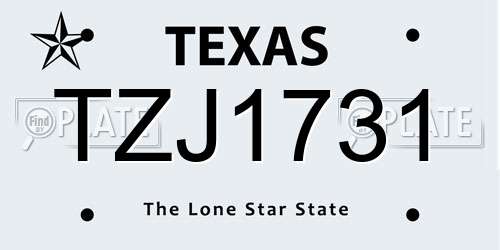 TZJ1731 Texas License Plate