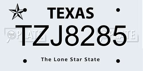 TZJ8285 Texas License Plate
