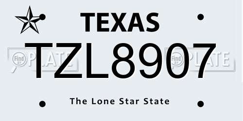TZL8907 Texas License Plate