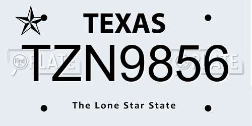 TZN9856 Texas License Plate