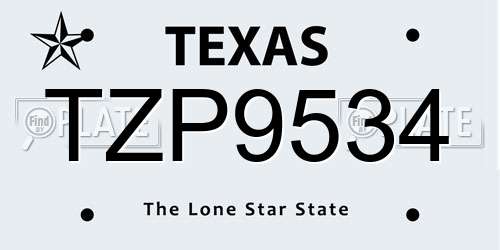 TZP9534 Texas License Plate