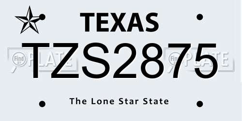 TZS2875 Texas License Plate
