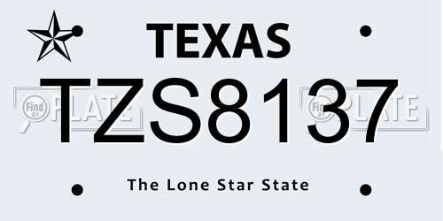 TZS8137 Texas License Plate