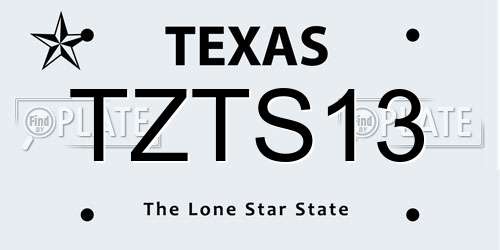 TZTS13 Texas License Plate