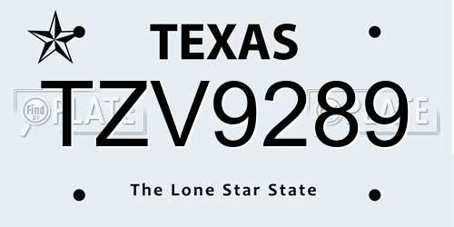 TZV9289 Texas License Plate