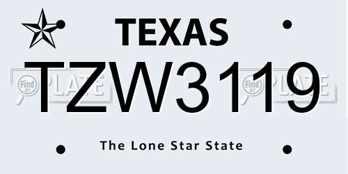 TZW3119 Texas License Plate