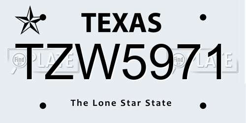 TZW5971 Texas License Plate