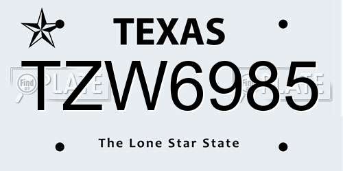 TZW6985 Texas License Plate