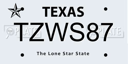 TZWS87 Texas License Plate