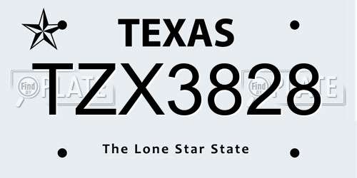 TZX3828 Texas License Plate
