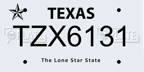 TZX6131 Texas License Plate