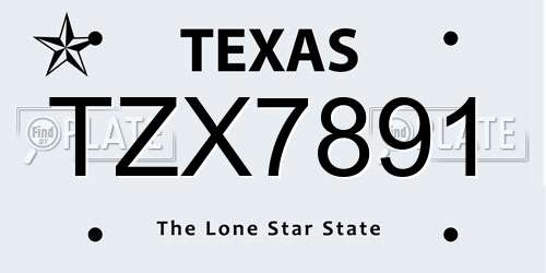 TZX7891 Texas License Plate