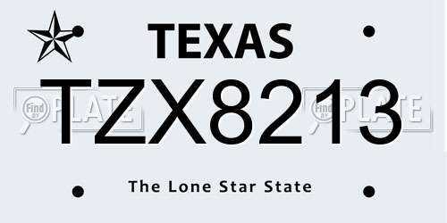 TZX8213 Texas License Plate